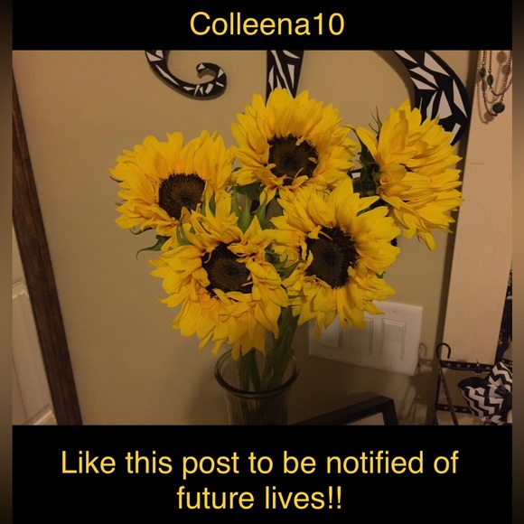 LIVE SHOW NOTIFICATION!! - Picture 1 of 1